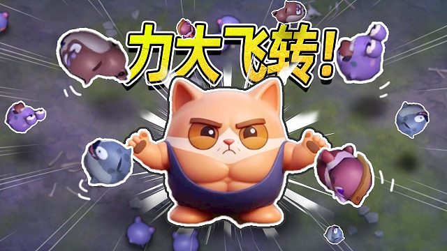 40分钟的准备，2分钟的绽放！终究是黄粱一梦！超级猫幸存者