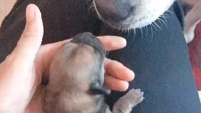 缘分让我们相遇，你要健健康康的长大，才不会辜负爱你的人。