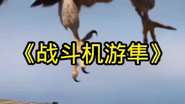 空中战斗机游隼的狩猎能力到底有多强