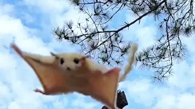 去年陪在你身边的人还在吗