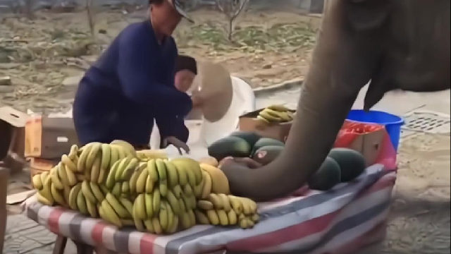 水果不新鲜了我帮你撒下水