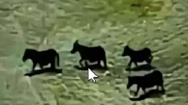 记住不要轻易的相信别人