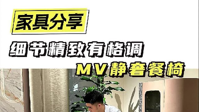 细节精致有格调 MV静奢餐椅