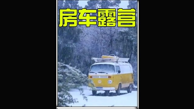 男人将一辆二手大众改造成宿营车 (3)