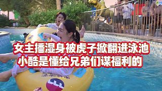 【集夢(mèng)小小小酷哥】女主播濕身被虎子掀翻進(jìn)泳池，小酷是懂給兄弟們謀福利的