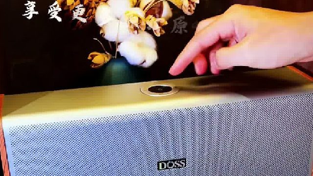 三位数给老公入手的玩具，音质好到没话说