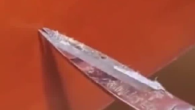 男子半夜被虫子吵醒听声辨位找到蛀木虫，活该都说吃饭不要吧唧嘴