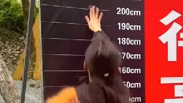 这是发自内心的嘲讽啊