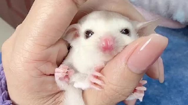 还好我有暖手宝