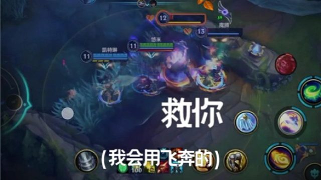 一整个猫咪爱世人的感觉谁懂...