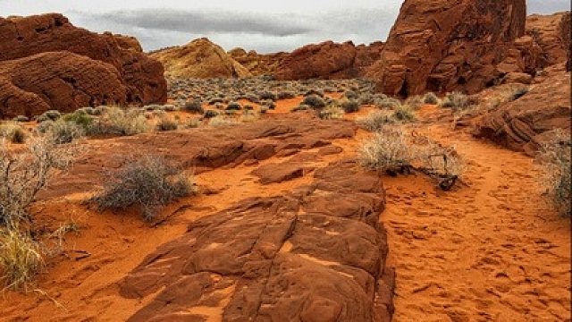 莱茵豹神级翻盘