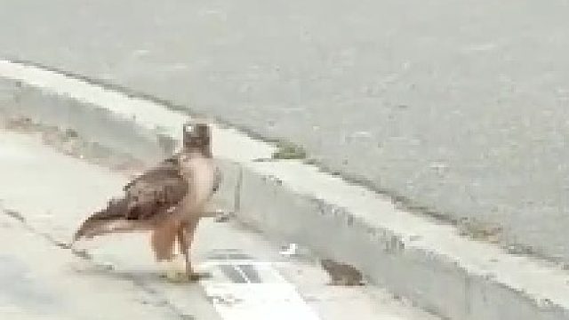 这不跟街上看到钱一样嘛