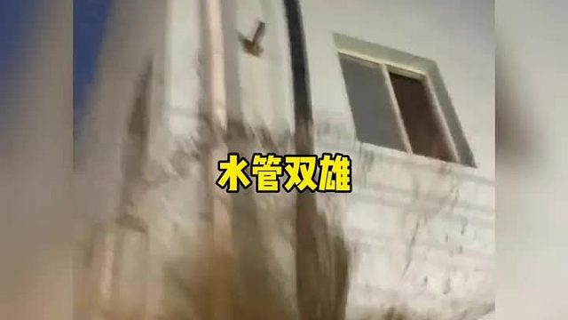 百年难得一遇的天才居然在同一时间出了两个