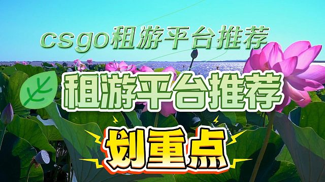 csgo租游平台推荐