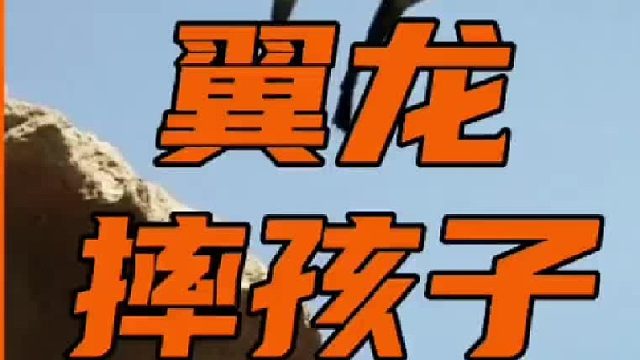 翼龙摔孩子，够狠！