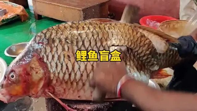 恒河大鲤鱼肚子里面居然有个金手镯