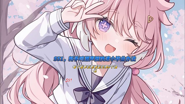 S51，新手鸣潮声骸快速小毕业办法