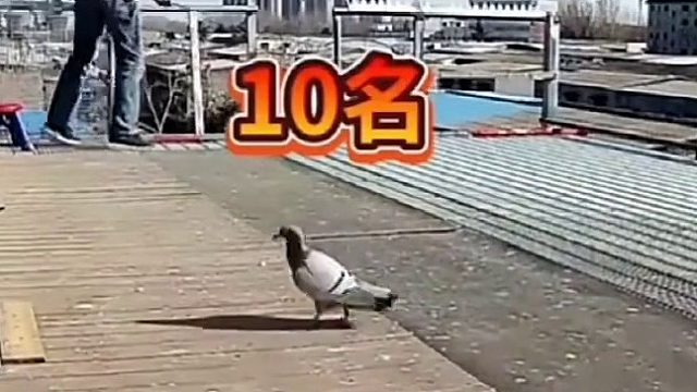 冠军累趴了！一台宾利到手了。