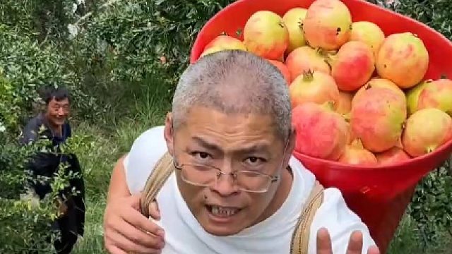 软籽石榴，味道真好