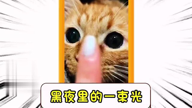 黑夜里的一束光