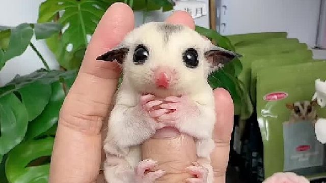 一份耕耘一份收获，未