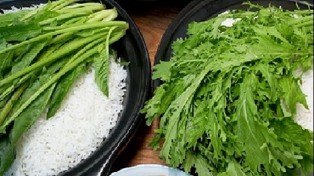 今天全是青菜，你们会选哪个