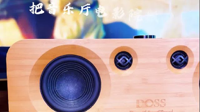 你没发现吗？音乐赋予的细腻和热情，全景声音响根本藏不住