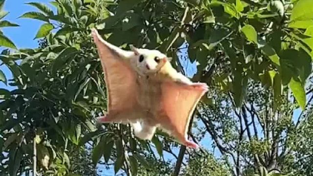 无论有多糟糕，都是成长和经历，在无法预知的末来，只希望我们健康平安就好