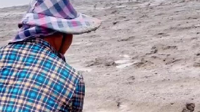 赶海就是这样有付出才有回报