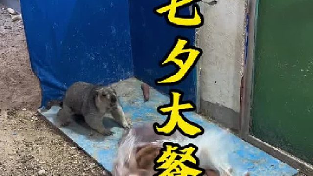 应该够三天的量了。