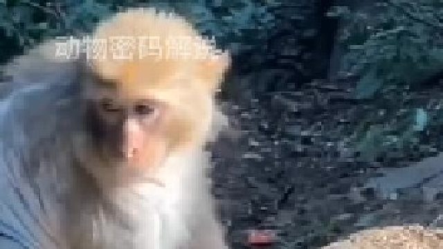 这是干什么呢拿孩子开玩笑吗