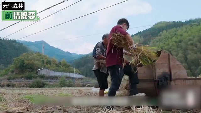 内娱“爱豆”变“土豆”