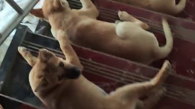 整齐划一是怎么做到的