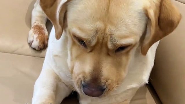 想刀一个人的眼神是藏不住的！