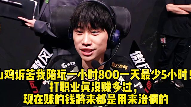 山鸡：我一小时800一天最少5小时！降价还能接更多，  打职业真没赚多过