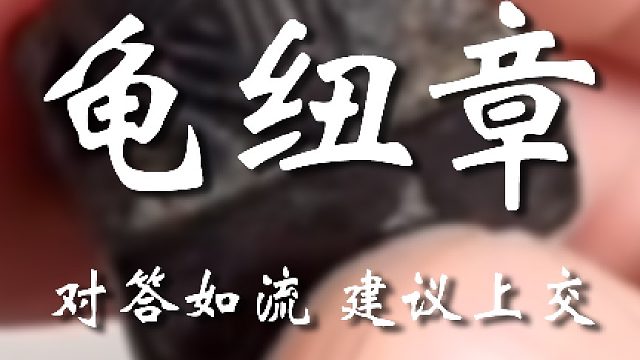 山东老弟还是严谨啊