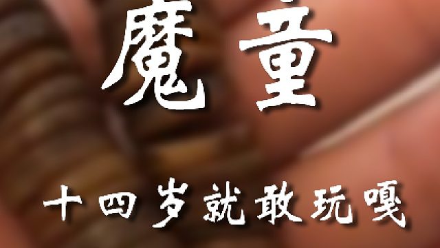 初生牛犊不怕虎啊