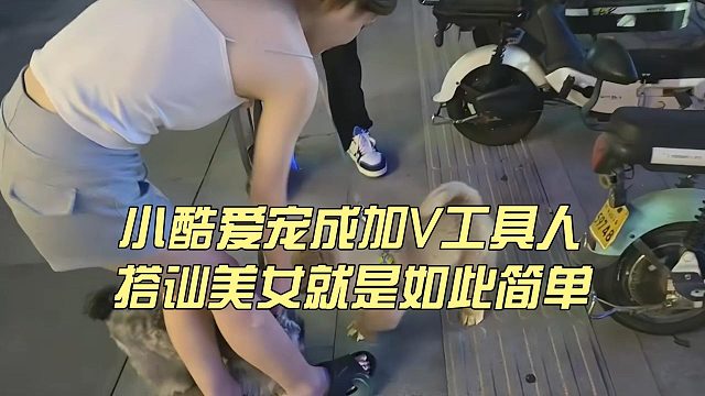 小酷爱宠成加V工具人，搭讪美女就是如此简单
