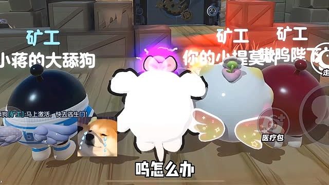 才艺展示小狗拿下mvp