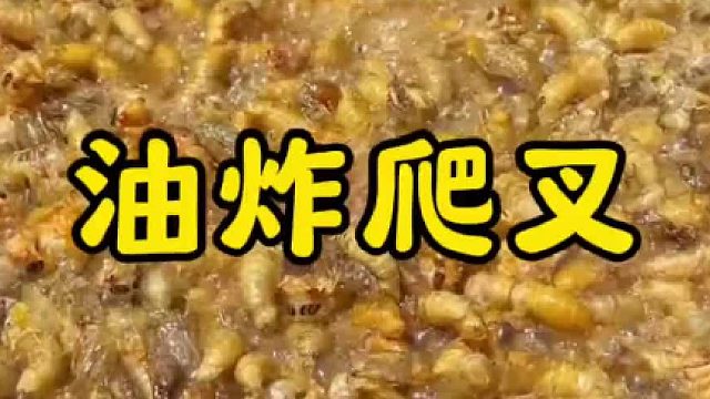 乡村大锅菜一道油炸孜然爬叉，香酥爽口