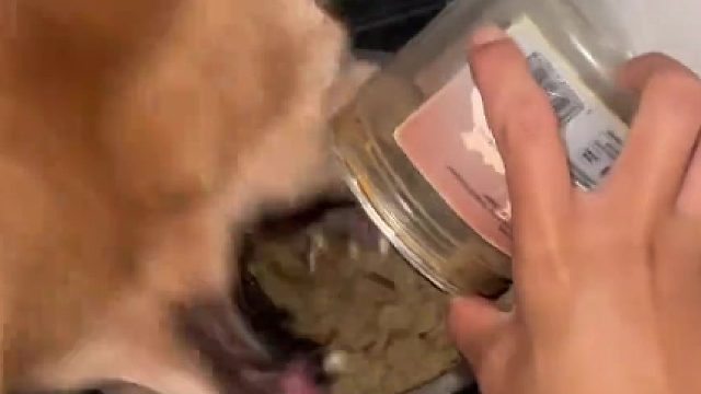 雷声大雨点小，就这个纯福吃着爽