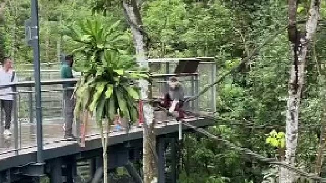 潮的我风湿病都犯了