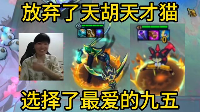 香菇滑鸡：放弃了天胡的天才猫选择了最爱的九五，还好没有辜负！