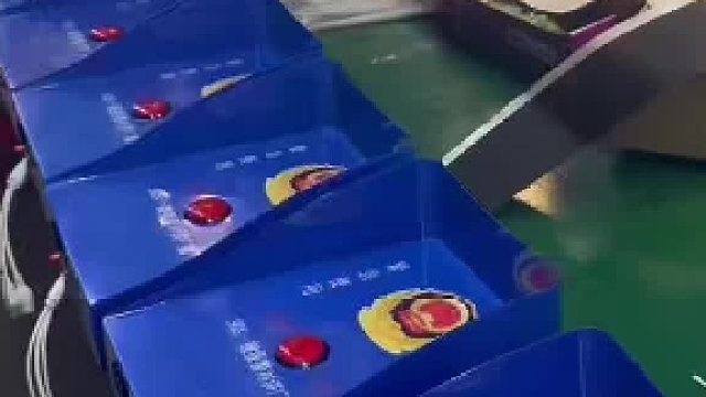 深圳盾王室外防水4G视频一键报警器太阳能供电