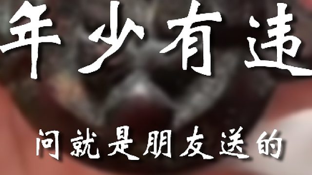 拿学生当掩护呢？