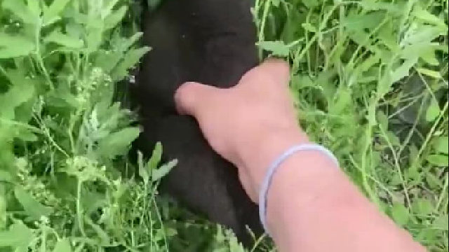 小熊：我妈就在附近，我希望你的妈妈也在