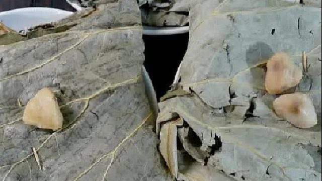 三个各怀心思的女人在乡下猜盲盒！