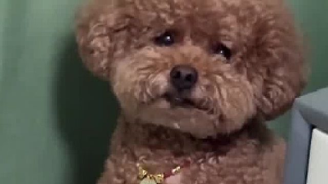 你以为我愿意啊