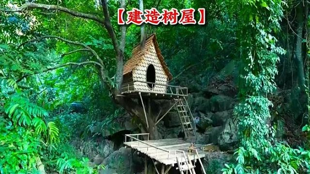 两姐妹勇闯原始森林体验荒野生存 (1)