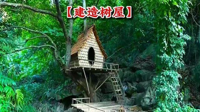 两姐妹勇闯原始森林体验荒野生存 (2)